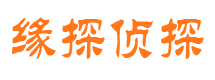 新青市私家侦探